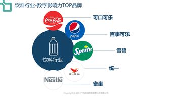 199it 互联网数据中心的卓越服务与价值